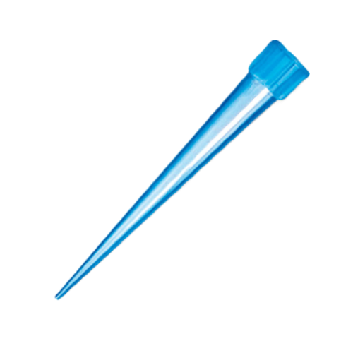 EMBOUT BLEU-fotor-bg-remover-20231227172441
