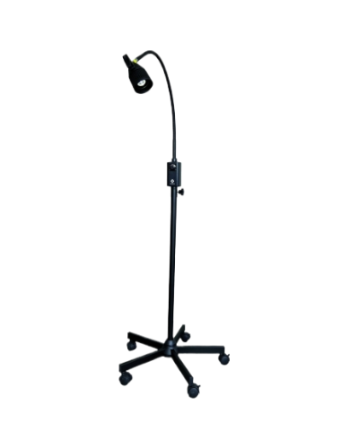 LAMPE 2-fotor-bg-remover-20231228121748
