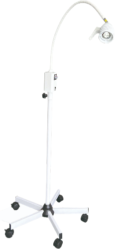 LAMPE 3-fotor-bg-remover-20231228121815