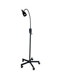 LAMPE 2-fotor-bg-remover-20231228121748