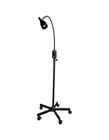 LAMPE 2-fotor-bg-remover-20231228121748