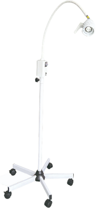LAMPE 3-fotor-bg-remover-20231228121815