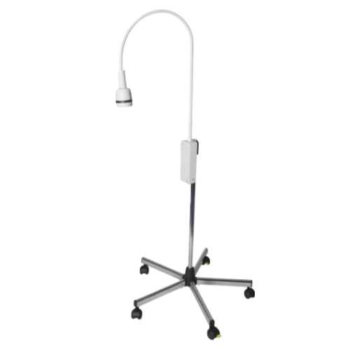 LAMPE-fotor-bg-remover-20231228121731