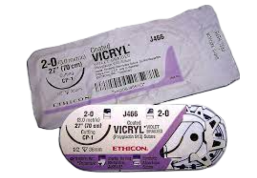 vc-fotor-bg-remover-20240102141458